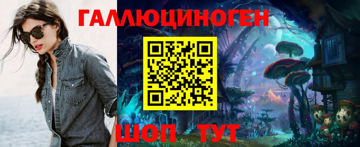 Галлюциногенные грибы Psilocybine cubensis Реутов